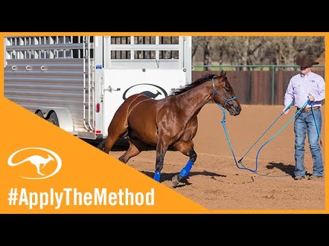 Training Tip: Fixing Your Horse's Fidgety Feet Outside the Trailer