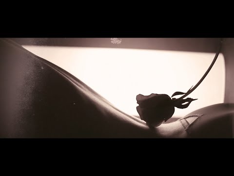 PENUMBRA  Sorrow Official Video 2024