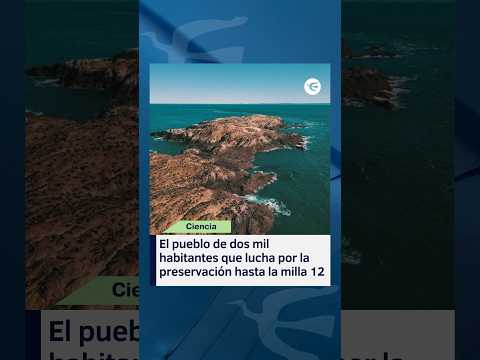 Camarones en Chubut: turismo sustentable y conservación de la costa patagónica #shorts