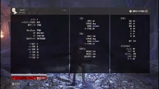 コードヴェイン（体験版）女王の騎士戦　1レベ、ノーダメ、ソロ討伐
