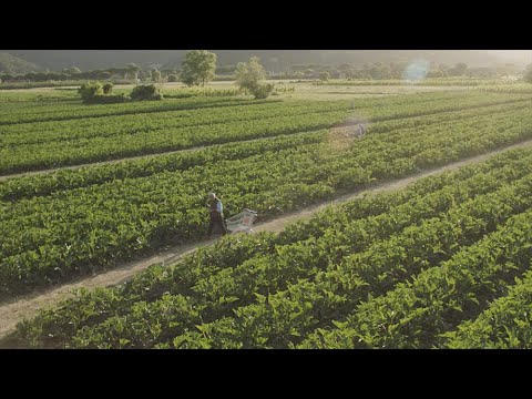 Convenienza Tripla ortofrutta - Spot TV Coop