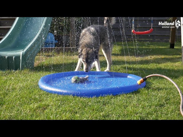 CoolPets Splash Pool til Hunde - Ø100cm KØB