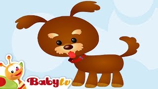 Dog  Animal Sounds and Names for Kids & Toddle