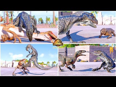 Blue, Echo & Other Velociraptors All Perfect Animations & Interactions 🦖 Jurassic World Evolution 2