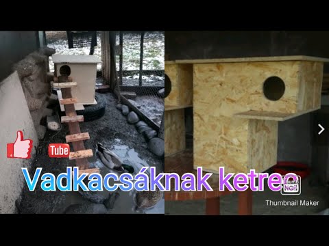 #Vadkacsa #ketrec (ol) #Állatartás #falun az #önellátás #fele