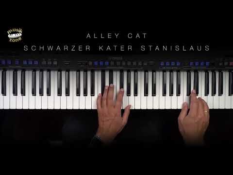 Alley Cat - Schwarzer Kater Stanislaus (Siw Malmquist) Genos how to play Tutorial - Musikzone