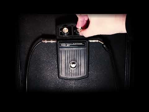 Roland AS-1 Sustainer 1972 - 1979 - Black image 3