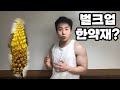 벌크업 한약재? 사막의 인삼 육종용