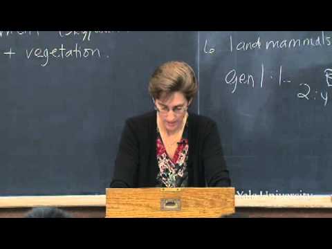 The Hebrew Bible in Its Ancient Near Eastern Setting: Genesis 1-4 in Context