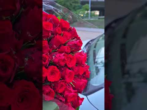 Doručení kytice červených růží do Prahy 16