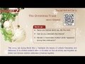 TNPSC SHORT STORIES The Christmas Truce 9th New Syllabus Havefunlearnings