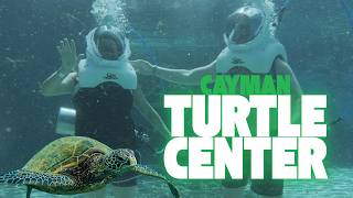 Is This The BEST Cruise Excursion EVER? | CAYMAN TURTLE CENTER REVIEW!
