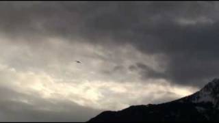 preview picture of video 'Escapade RC acrobatic GreatPlanes GAM Switzerland'