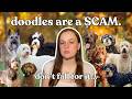 The Doodle Problem Was Your Dog Unethically Bred