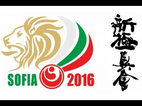 KO Simon Pålsson (Sweden) Vs Eventas Gužauskas (Lithuania) Euro 2016 WKO