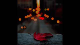 Download lagu STORY WA VIRAL 30 DETIK|| Story Wa Baper| Story Wa Lagu| Story Wa Bahagia mp3