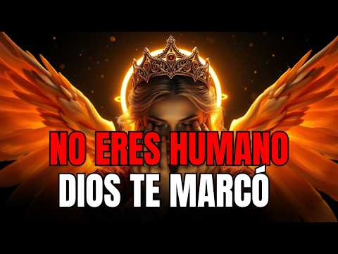 CHOSEN, February 17: GOD REVEALS YOUR TRUTH