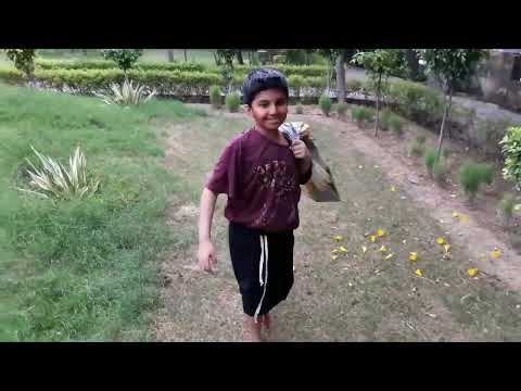 YouTube video