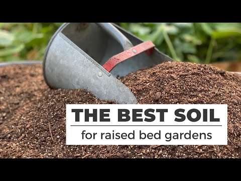 THE BEST SOIL for RAISED BED gardens