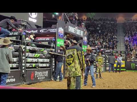 Blue Duck bucking in Duluth Georgia