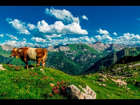 Wandertrilogie Allgäu - Unterwegs auf der Königsetappe