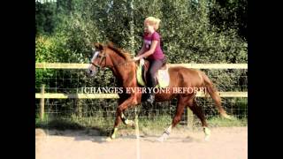 Goodbye Partner :( I miss you my dear horse ♥ || Bob † ♥ ||