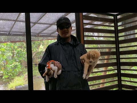 Snugpak | Enhanced Patrol Poncho