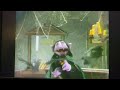 Opening To Sesame Street Learning About Numbers 2008 DVD
