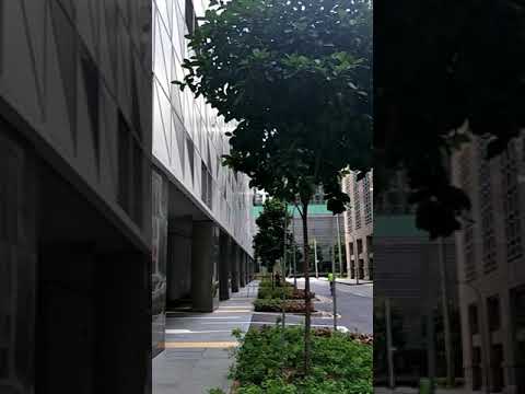 Lumiere, 2 Mistri Road, Studio, 506 sqft, Apartment For Rent, by Andrew Chua, 22196666 - PropertyGuru.com.sg