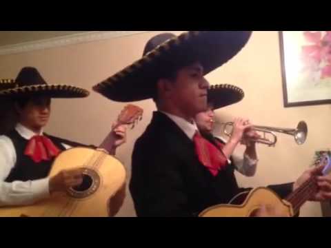 Mariachi voz de América  : Si nos dejan