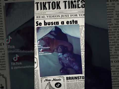 EL OESTE DE LOS PERROS. ARROYO DE SAN SERVAN. CAMPANARIO. BADAJOZ. EXTREMADURA. ESPAÑA