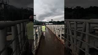 Download lagu Dadio koyo arjuno susah lan seneng adepono#dccomics #dcmusik #dcuniverse #nikensalindri mp3