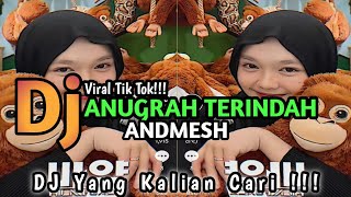 Download lagu DJ ANUGRAH TERINDAH ANDMESH - DJ KU INGIN KAU JADI MILIKKU TEMANI DIRIKU VIRAL TIK TOK TERBARU 2025 mp3