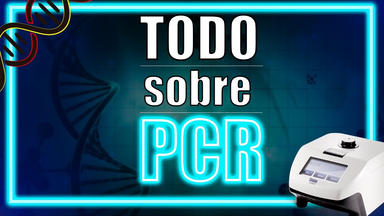 TODO sobre la PCR