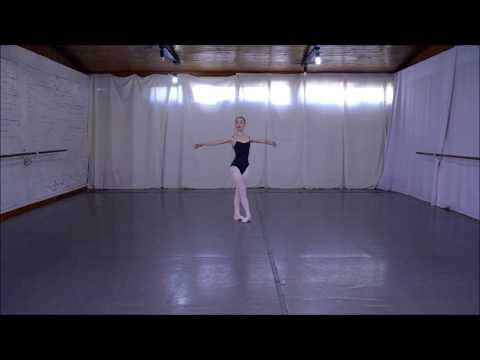 Akademie des Tanzes Mannheim audition