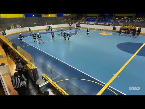 JBLL 2025/2026 vs 5.kolo U18 Malešice vs. LCC FOXES