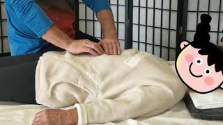 Wayne Rush Bodywork AMPUKU Abdominal Shiatsu with Wayne