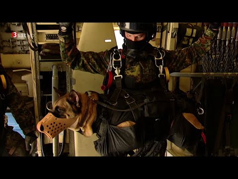 hitec: Abenteuer Fallschirmforschung