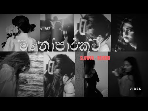 රෑට තනියම අහන්න  🥺❤️‍🩹| Sinhala Slowed + Reverb song 2025 Mr Dulzzz