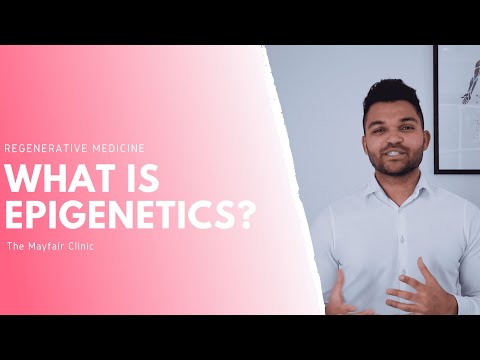What Is Epigenetics In Simple Terms? | Gene Silencing