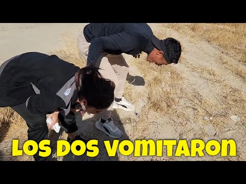 Bessy no aguantó más y vomitó, pero Diablo se le unió. Estamos en camino a ver a ballenas