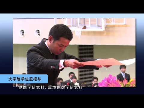 麻布大学　平成30年度 卒業式