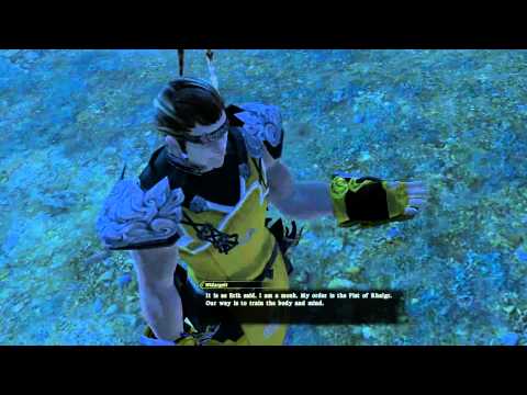 FFXIV - MNK level 30 job quest battle
