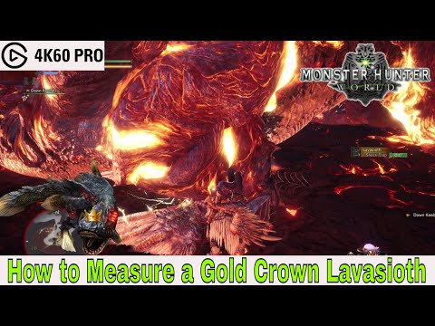 Monster Hunter: World - How to Measure a Gold Crown Lavasioth Video