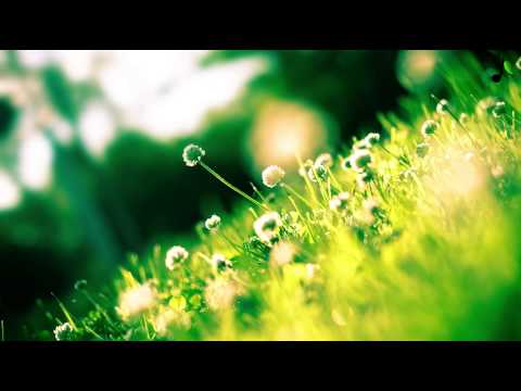 BEST OF DUBSTEP & HOUSE JULY 2013