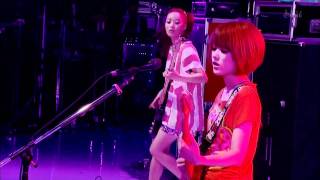 [live] 스테레오 포니 - i do it