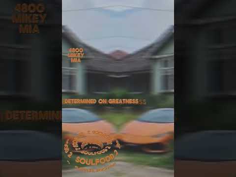 4800Mikey Mia - Dead Prezz