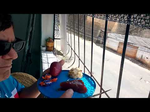 Prato fino: champignon, pupunha, molho, goiabada, none. POR rep. Paulo Maciel  Colatina/ES, 18/12/25