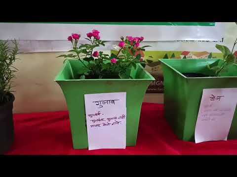 #MajhiVasundharaAbhiyan6.0 निर्मळ ग्रामपंचायत पानवळ कार्यालयमध्ये प्रदर्शन 