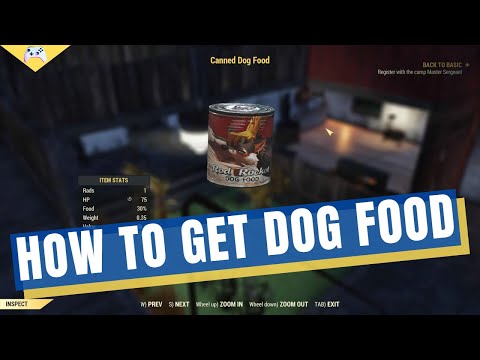 Fallout 76 Learn How to Get Dog Food and Keep Your Canine Companions Happy